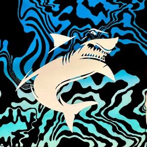 Waves / Boardshorts With Liner / New / Youth